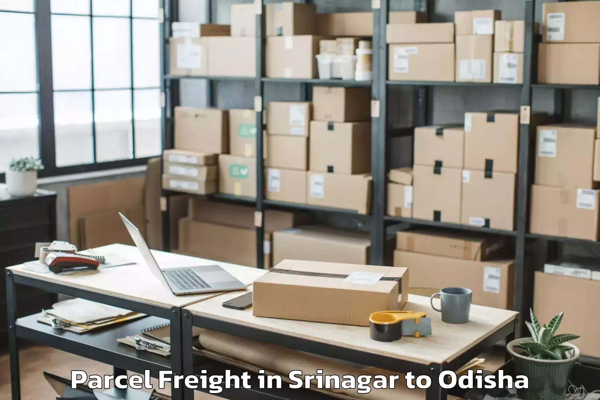 Reliable Srinagar to Phulabani Town Parcel Freight